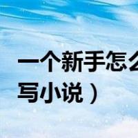 一个新手怎么写小说开头推荐（一个新手怎么写小说）