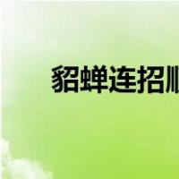 貂蝉连招顺序怎么看（貂蝉连招顺序）