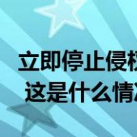 立即停止侵权挑衅和污蔑炒作！中国海警发声 这是什么情况？