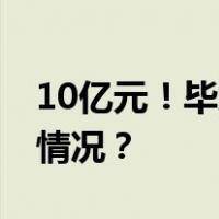 10亿元！毕加索这一名画成功拍卖 这是什么情况？