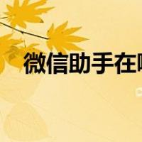 微信助手在哪里找?（微信助手在哪里找）