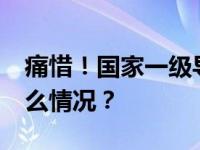 痛惜！国家一级导演去世，年仅51岁 这是什么情况？