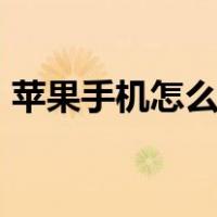 苹果手机怎么换ip地址（手机怎么换ip地址）