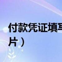 付款凭证填写示例图片（付款凭证填写样本图片）