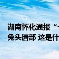 湖南怀化通报“一小学被曝食堂中吃出疑似鼠头异物”：为兔头唇部 这是什么情况？