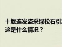 十堰连发盗采绿松石引发较大人员伤亡事件！负责人被约谈 这是什么情况？