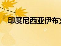 印度尼西亚伊布火山喷发 这是什么情况？