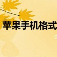 苹果手机格式化怎么弄（手机格式化怎么弄）
