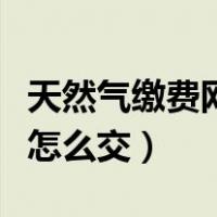 天然气缴费网上怎么交线下（天然气缴费网上怎么交）