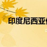 印度尼西亚伊布火山喷发 这是什么情况？