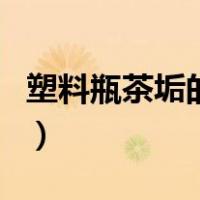 塑料瓶茶垢的清洗小窍门（茶垢的清洗小窍门）