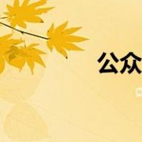 公众电话英语（公众电话）