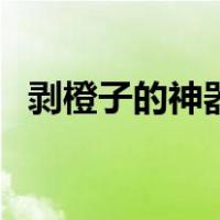 剥橙子的神器怎么用（剥橙子神器怎么用）
