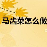 马齿菜怎么做好吃视频（马齿菜怎么做好吃）