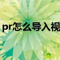 pr怎么导入视频效果插件（pr怎么导入视频）