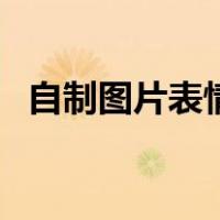 自制图片表情包（怎么制作表情包配文字）
