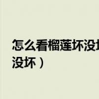 怎么看榴莲坏没坏怎么看榴莲肉坏没坏（怎样辨别榴莲肉坏没坏）