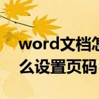 word文档怎么设置页码编号（word文档怎么设置页码）