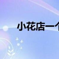 小花店一个月利润（新手如何开花店）