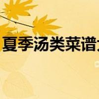 夏季汤类菜谱大全 家常（夏季汤类菜谱大全）