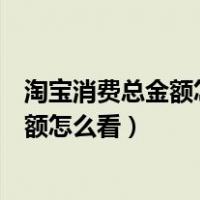 淘宝消费总金额怎么看去掉退款的实际支付（淘宝消费总金额怎么看）
