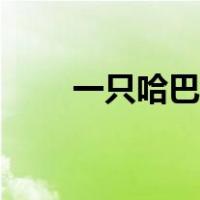 一只哈巴狗简笔画（哈巴狗简笔画）