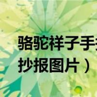 骆驼祥子手抄报图片大全 初一（骆驼祥子手抄报图片）