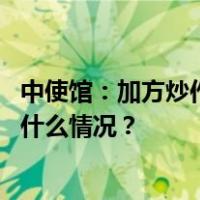 中使馆：加方炒作所谓中方“任意拘押”纯属贼喊捉贼 这是什么情况？
