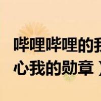 哔哩哔哩的我的勋章在哪里（哔哩哔哩个人中心我的勋章）