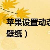苹果设置动态壁纸和锁屏壁纸（苹果设置动态壁纸）