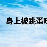 身上被跳蚤咬了的图片（被跳蚤咬了图片）