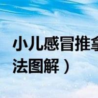 小儿感冒推拿手法图解视频（小儿感冒推拿手法图解）