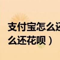 支付宝怎么还花呗的钱才没有罚息（支付宝怎么还花呗）