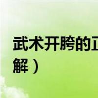 武术开胯的正确方法图解（开胯的正确方法图解）