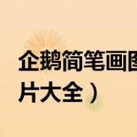 企鹅简笔画图片大全可爱呆萌（企鹅简笔画图片大全）
