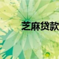 芝麻贷款如何正确还款（芝麻贷款）