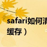 safari如何清理浏览器缓存（如何清理浏览器缓存）