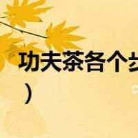 功夫茶各个步骤名称（功夫茶的六个步骤带图）