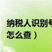 纳税人识别号怎么查个人资料（纳税人识别号怎么查）