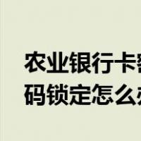 农业银行卡密码锁定怎么办?（农业银行卡密码锁定怎么办）