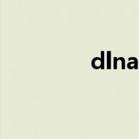 dlna投屏软件（dlna投屏）