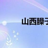 山西臊子面的做法（臊子面做法）