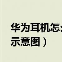 华为耳机怎么戴才是正确的?（华为耳机戴法示意图）
