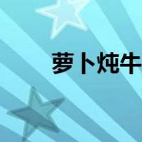 萝卜炖牛排的做法（炖牛排的做法）