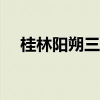 桂林阳朔三日游作文（桂林阳朔三日游）