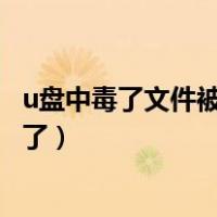 u盘中毒了文件被隐藏了怎么办恢复（u盘中毒了文件被隐藏了）
