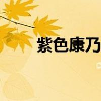 紫色康乃馨好养吗（康乃馨好养吗）