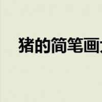 猪的简笔画大全 可爱（猪的简笔画步骤）