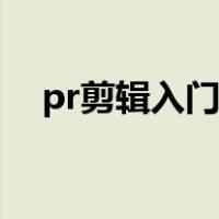 pr剪辑入门教学（pr视频入门剪辑教程）