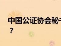 中国公证协会秘书长曹阳被查 这是什么情况？